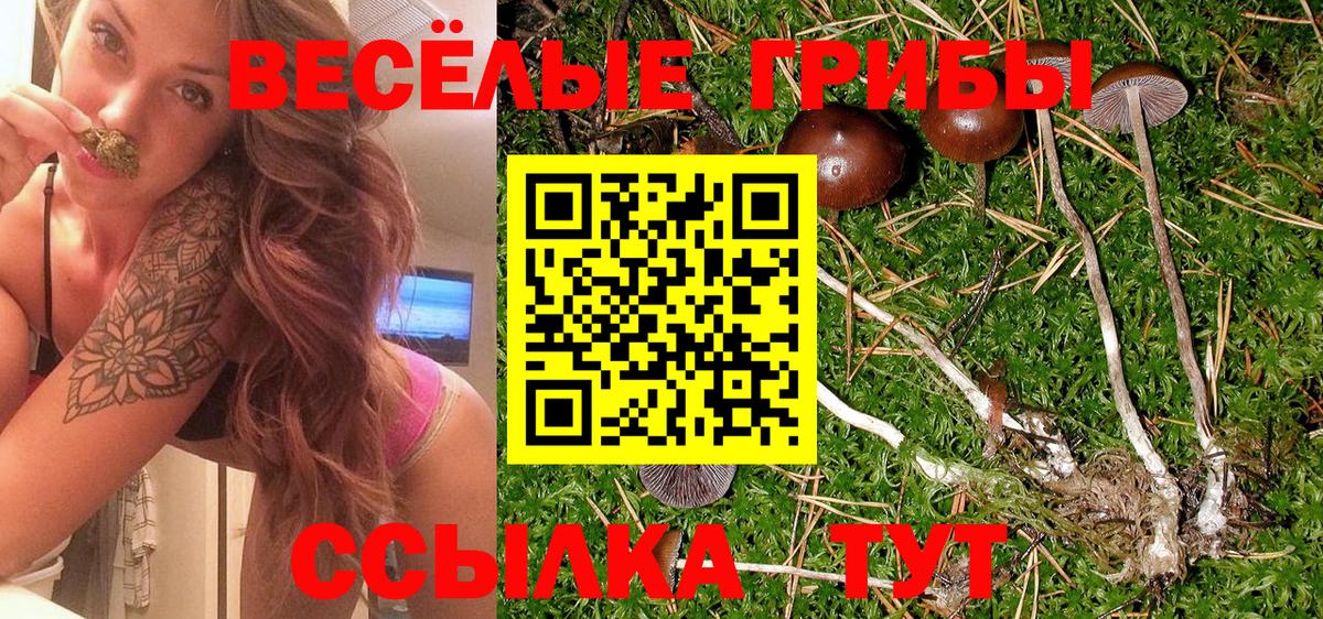 Галлюциногенные грибы GOLDEN TEACHER Алатырь