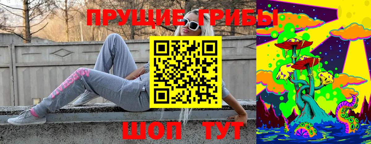 Алатырь  Псилоцибиновые грибы MAGIC MUSHROOMS  Вход с VPN 